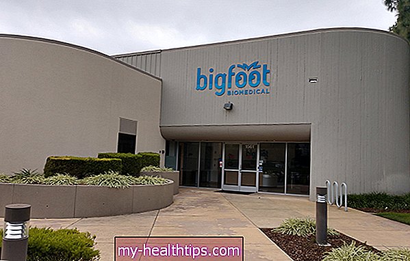 Acht Stunden in Bigfoots Diabetes-Versteck