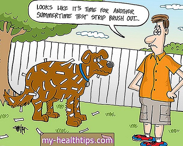 Funnies Ahad: Hari Anjing Musim Panas, Oh My!