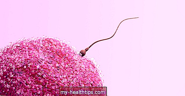 12 Чињенице о сперми са широким уверењем које су заправо нетачне