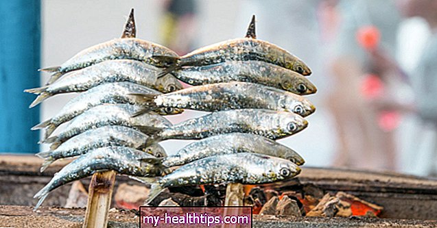 Är sardiner bra för dig?
