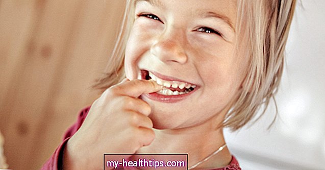 ¿Los dientes se consideran huesos?