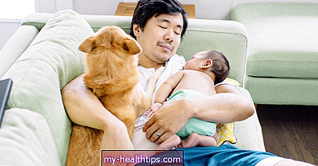 Bevor Sie Ihr Baby nach Hause bringen, erfahren Sie hier, wie Sie Ihre Haustiere vorbereiten
