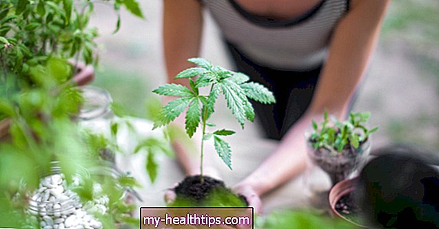 ¿Puede el cannabis medicinal aliviar los síntomas de la fibromialgia?