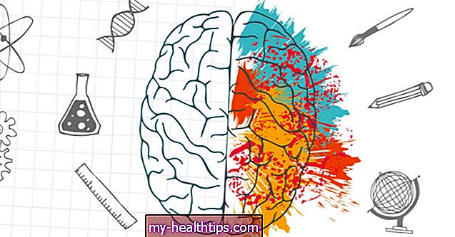 Diferencia entre los hemisferios derecho e izquierdo del cerebro: