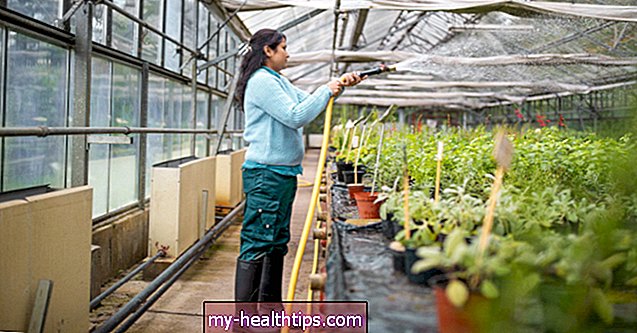 Intoxicación con fertilizantes y alimentos vegetales