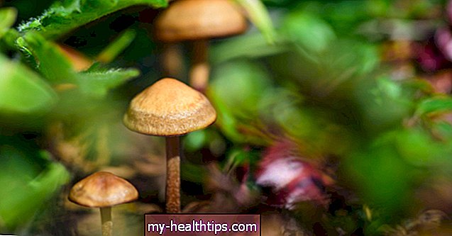 Wie lange bleiben Pilze in Ihrem System?