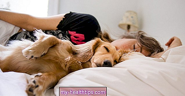 Ar gera miegoti su savo šunimi lovoje?