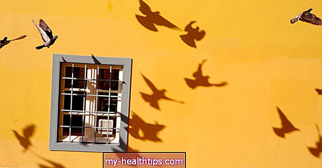 Ornithophobia: Những điều bạn cần biết về chứng sợ chim