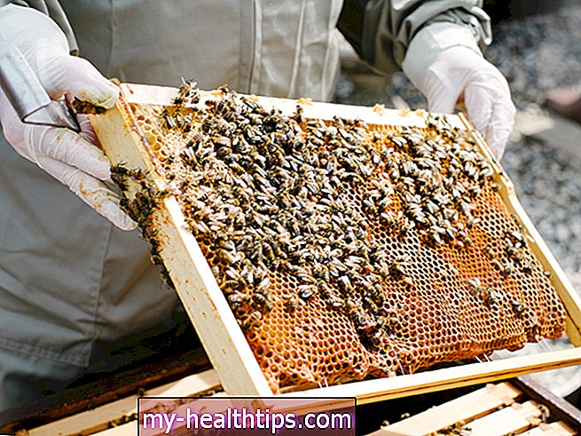 Παρενέργειες της γύρης μελισσών
