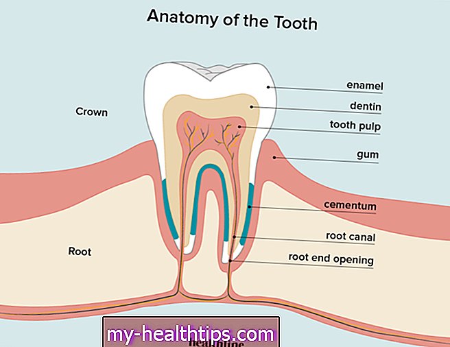 Kas jums jāzina par zobu mīkstumu