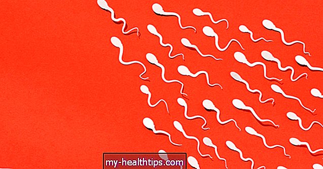 Koks skirtumas tarp spermos ir spermos? Ir 12 kitų DUK