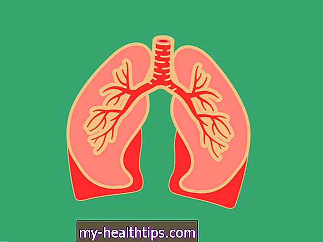 Vidurinės skilties plaučiai