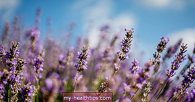 4 fördelar och användningar av lavendelte och extrakt