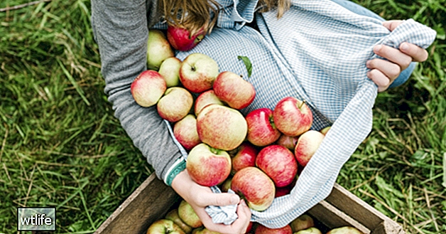 6 zdravotných výhod jablčného octu, podporených vedou