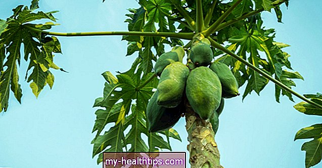 7 vantaggi e usi emergenti della foglia di papaya