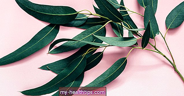 7 pôsobivých výhod listov eukalyptu