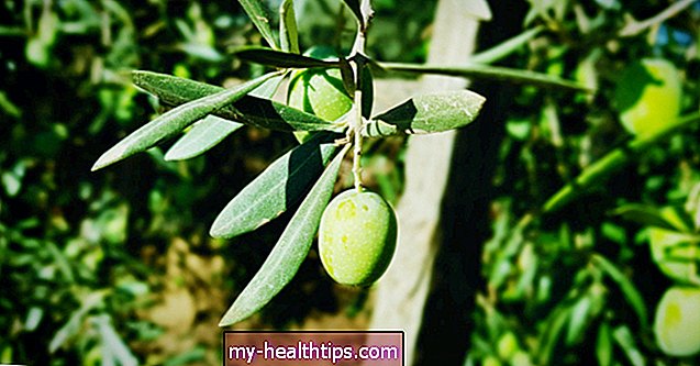 8 beneficios emergentes de las hojas de mango