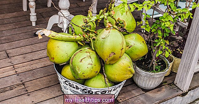 Tout ce que vous devez savoir sur la noix de coco verte