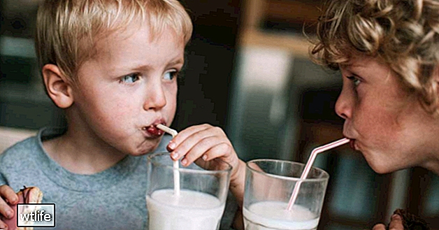 Mlieko 101: Výživové fakty a účinky na zdravie