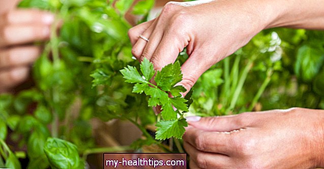 Perejil: una hierba impresionante con beneficios para la salud