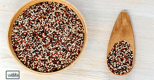 Quinoa 101: Výživové fakty a zdravotné výhody