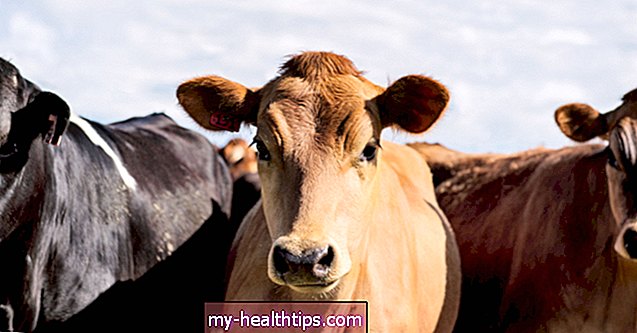 Kaj je goveji kolagen in ali ima koristi?