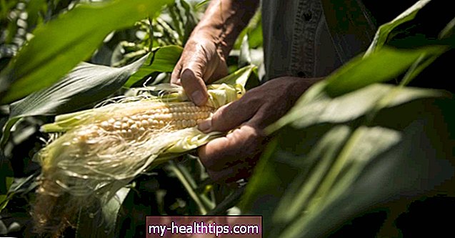 ¿Qué es la seda de maíz y tiene beneficios?