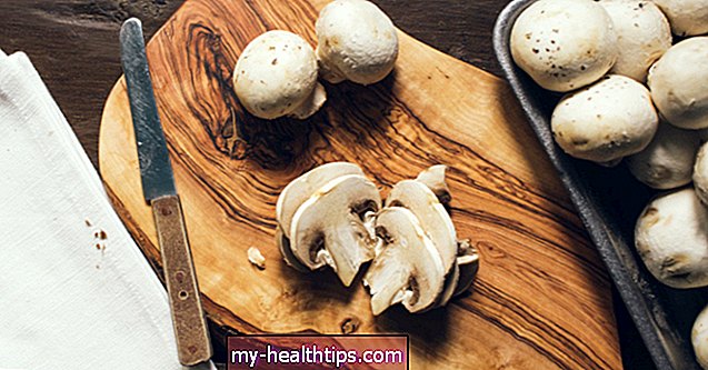Weiße Pilze: Ernährung, Nutzen und Verwendung
