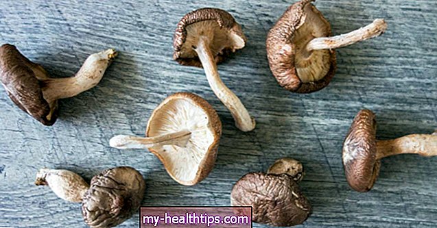 Waarom Shiitake-paddenstoelen goed voor je zijn